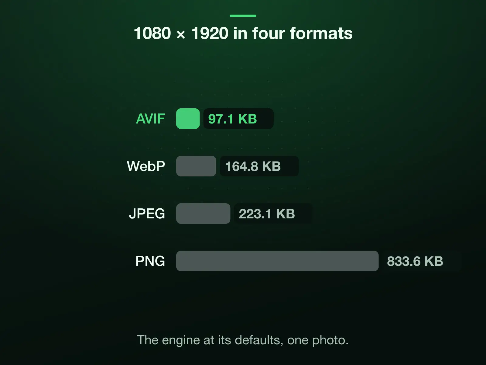 The reference photo at 1080 × 1920 in four formats, measured: AVIF 97.1 KB, WebP 164.8 KB, JPEG 223.1 KB, PNG 833.6 KB. AVIF is the smallest.
