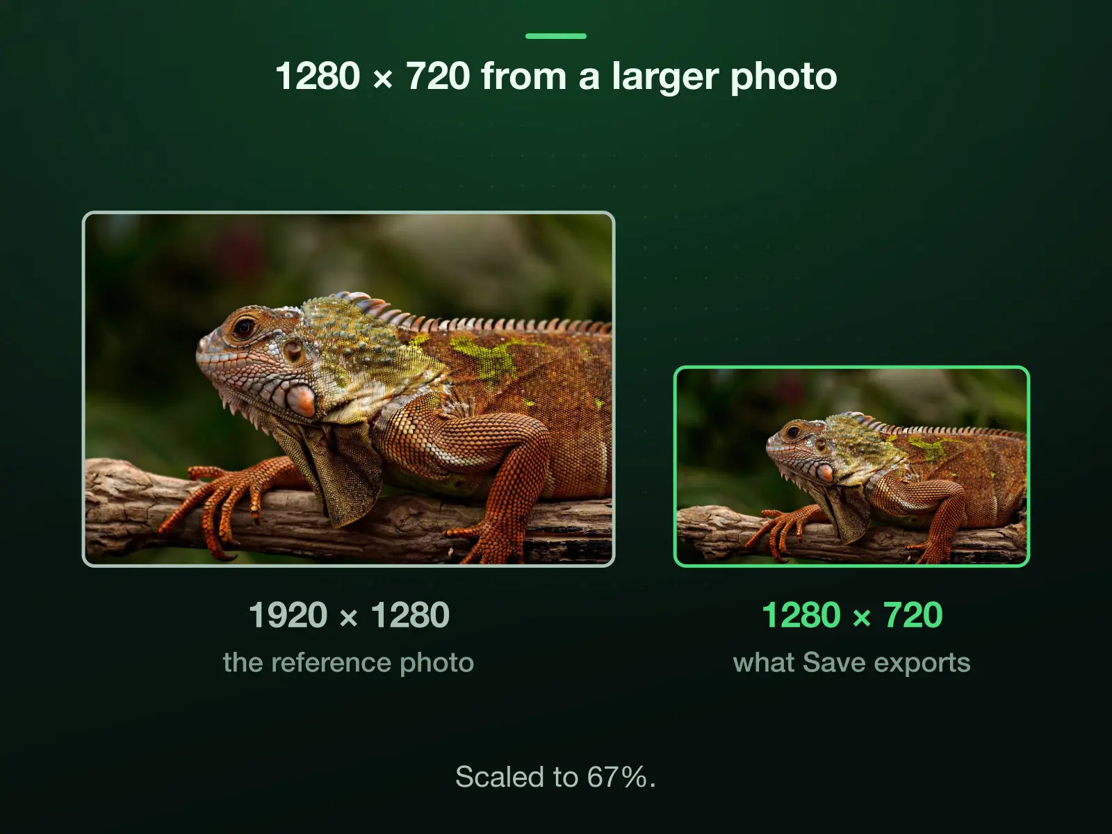 Our 1920 × 1280 reference photo and 1280 × 720 to one scale: cropped to 16:9 it is 1920 × 1080, which the export scales down to 67% to reach 1280 × 720.