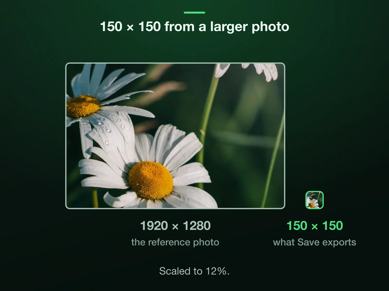 Our 1920 × 1280 reference photo and 150 × 150 to one scale: cropped to 1:1 it is 1280 × 1280, which the export scales down to 12% to reach 150 × 150.