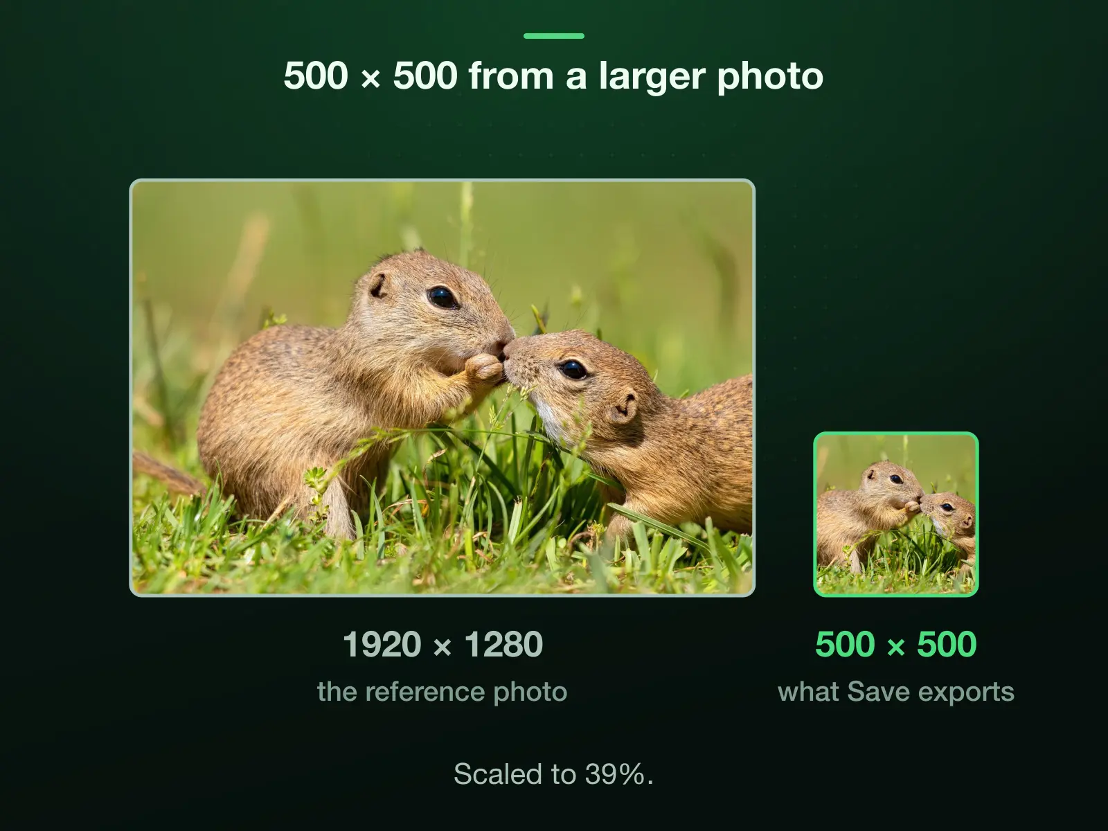Our 1920 × 1280 reference photo and 500 × 500 to one scale: cropped to 1:1 it is 1280 × 1280, which the export scales down to 39% to reach 500 × 500.