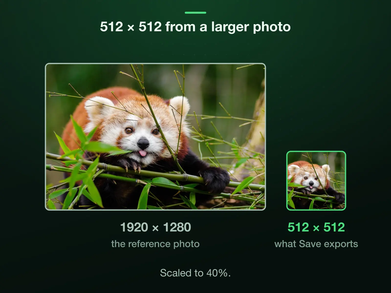 Our 1920 × 1280 reference photo and 512 × 512 to one scale: cropped to 1:1 it is 1280 × 1280, which the export scales down to 40% to reach 512 × 512.