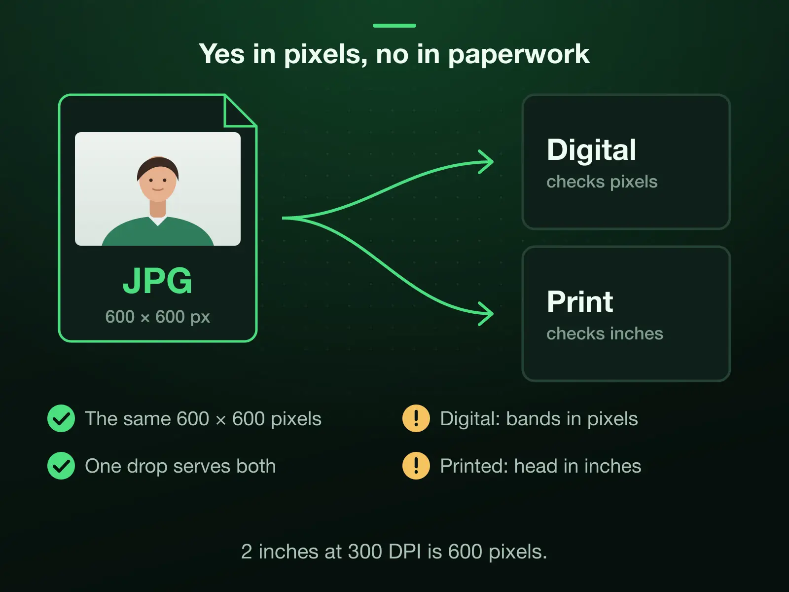 One 600 × 600 JPEG serving two forms: the digital photo, checked in pixels against the bands its page states, and the printed 2 × 2 inch photo, checked in inches with the head 1 to 1 3/8 inches. 2 inches at 300 DPI is 600 pixels.
