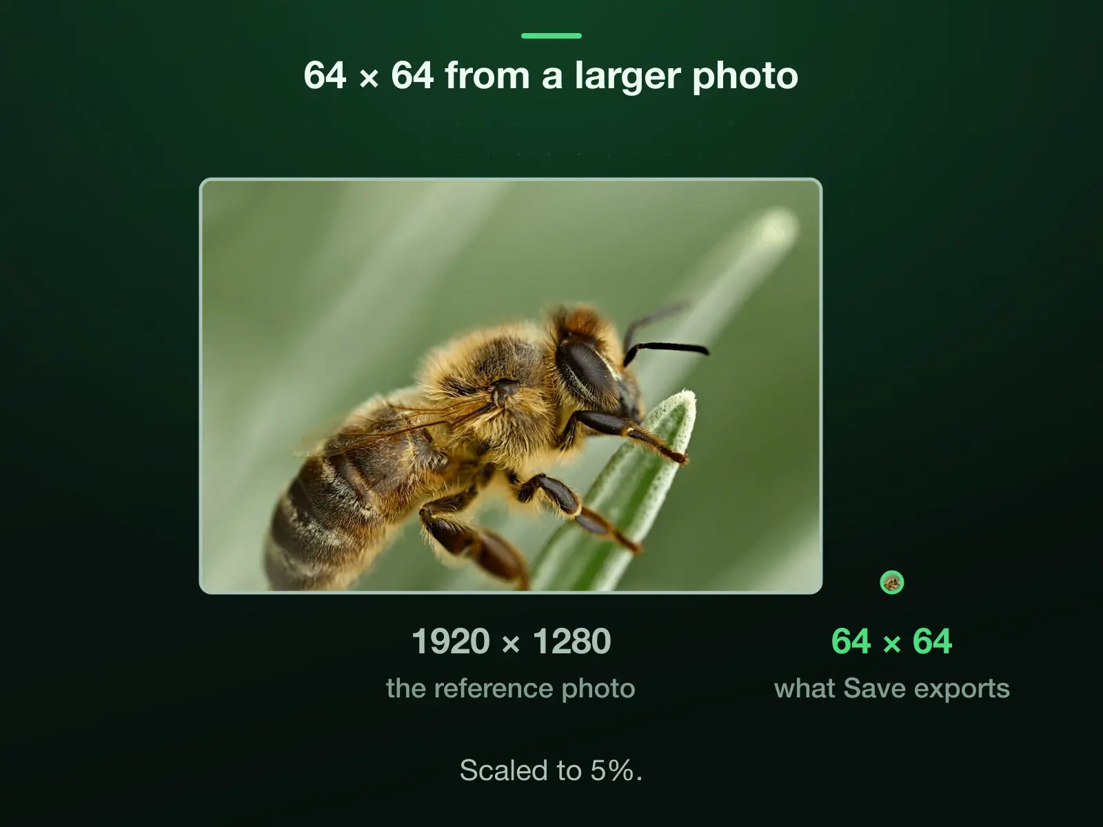 Our 1920 × 1280 reference photo and 64 × 64 to one scale: cropped to 1:1 it is 1280 × 1280, which the export scales down to 5% to reach 64 × 64.