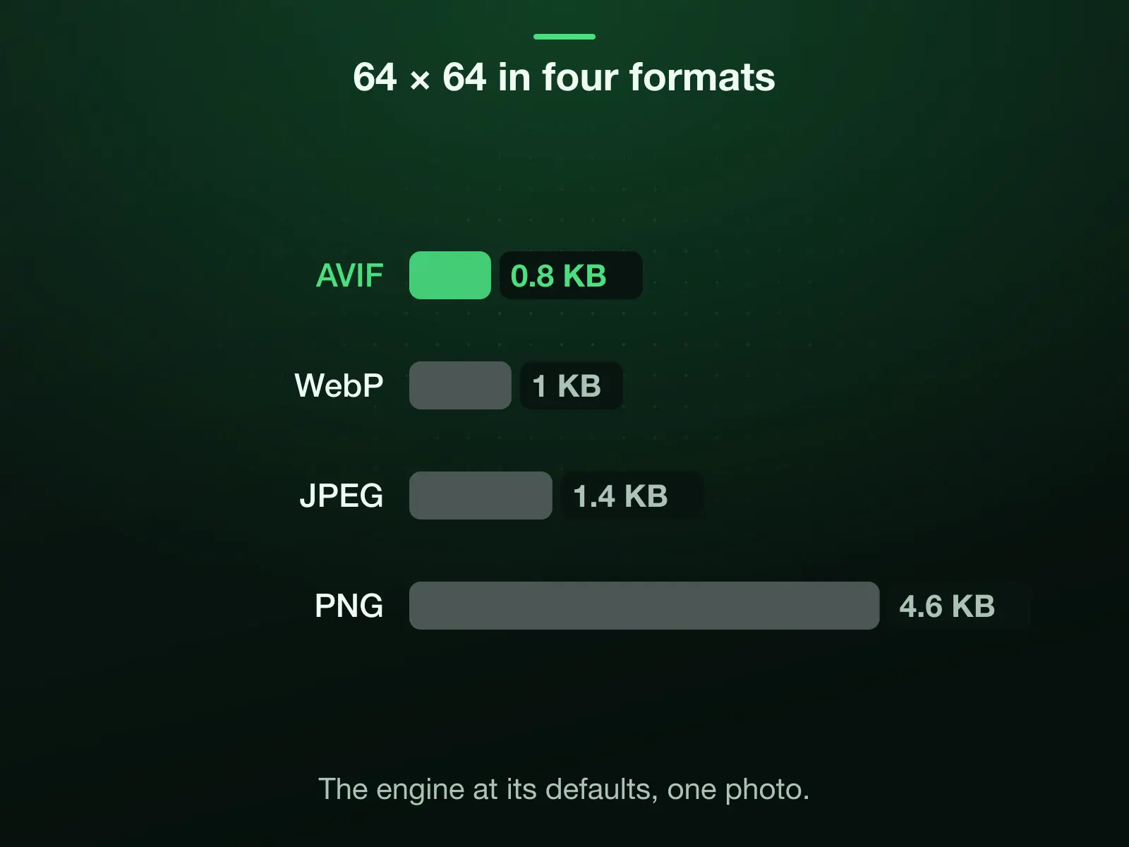 The reference photo at 64 × 64 in four formats, measured: AVIF 0.8 KB, WebP 1 KB, JPEG 1.4 KB, PNG 4.6 KB. AVIF is the smallest.