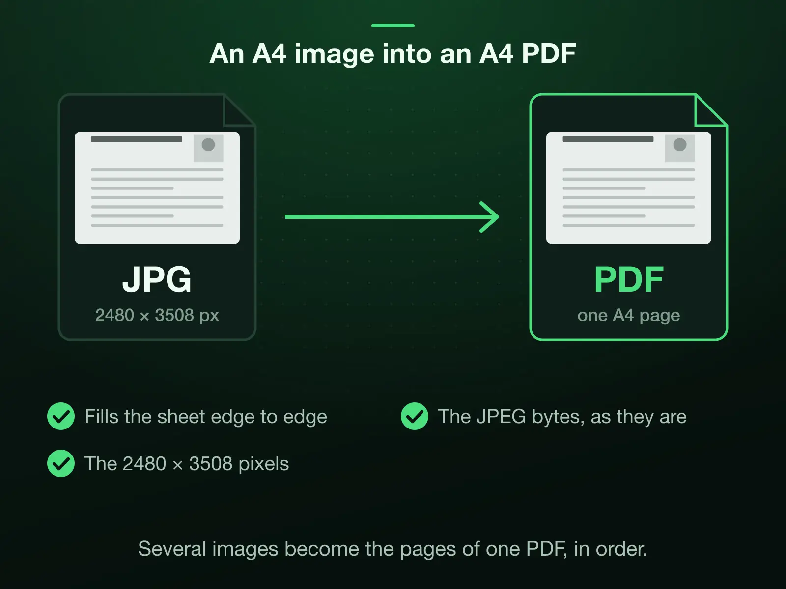 An A4 JPEG of 2480 × 3508 pixels becoming one A4 page of a PDF: already 1:1.41, it fills the sheet edge to edge, and its JPEG bytes and pixels go into the PDF as they are.