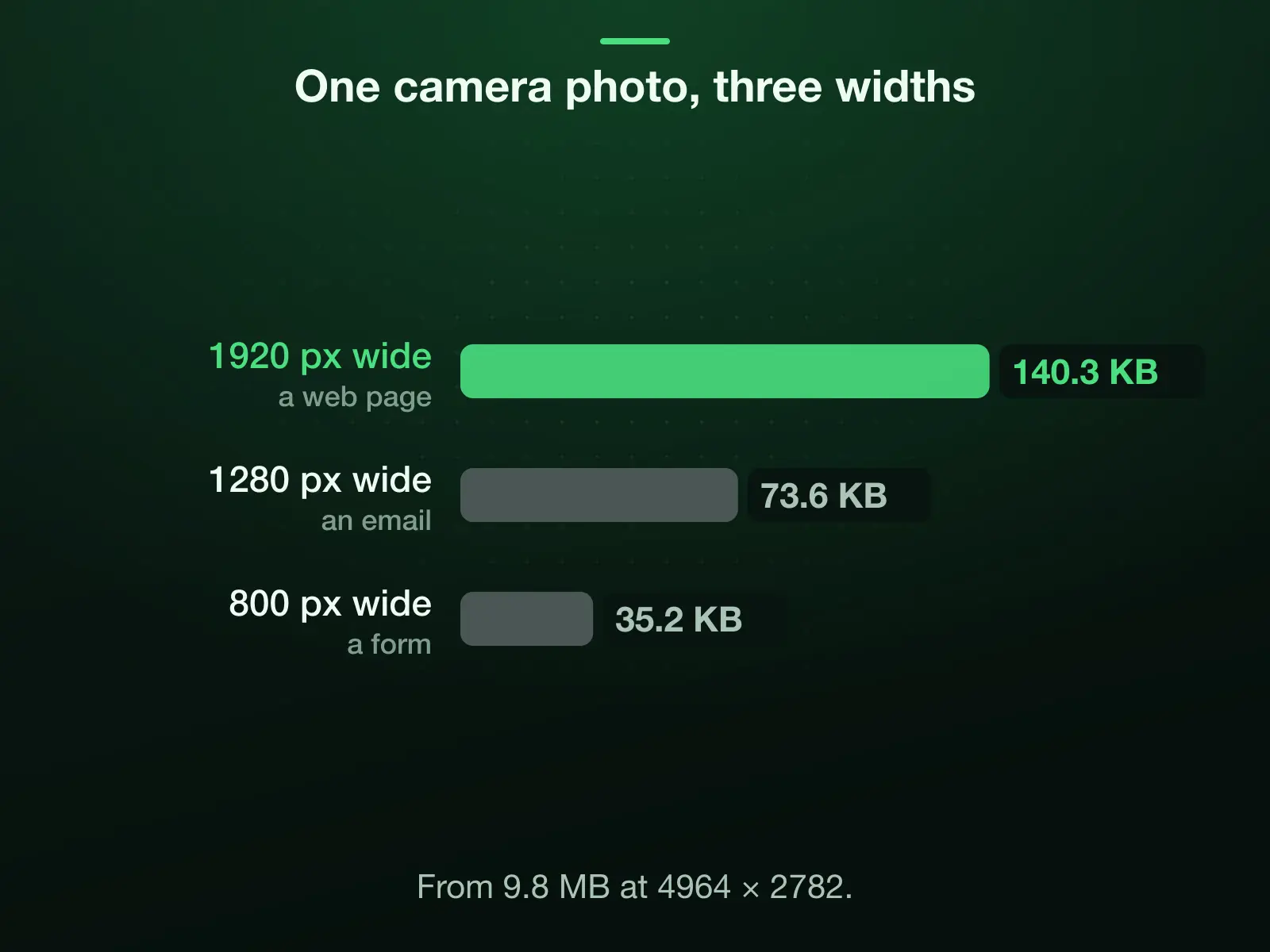 Our 9.8 MB camera photo, 4964 × 2782, resized and saved as JPEG: 140.3 KB at 1920 pixels wide, 73.6 KB at 1280 and 35.2 KB at 800.