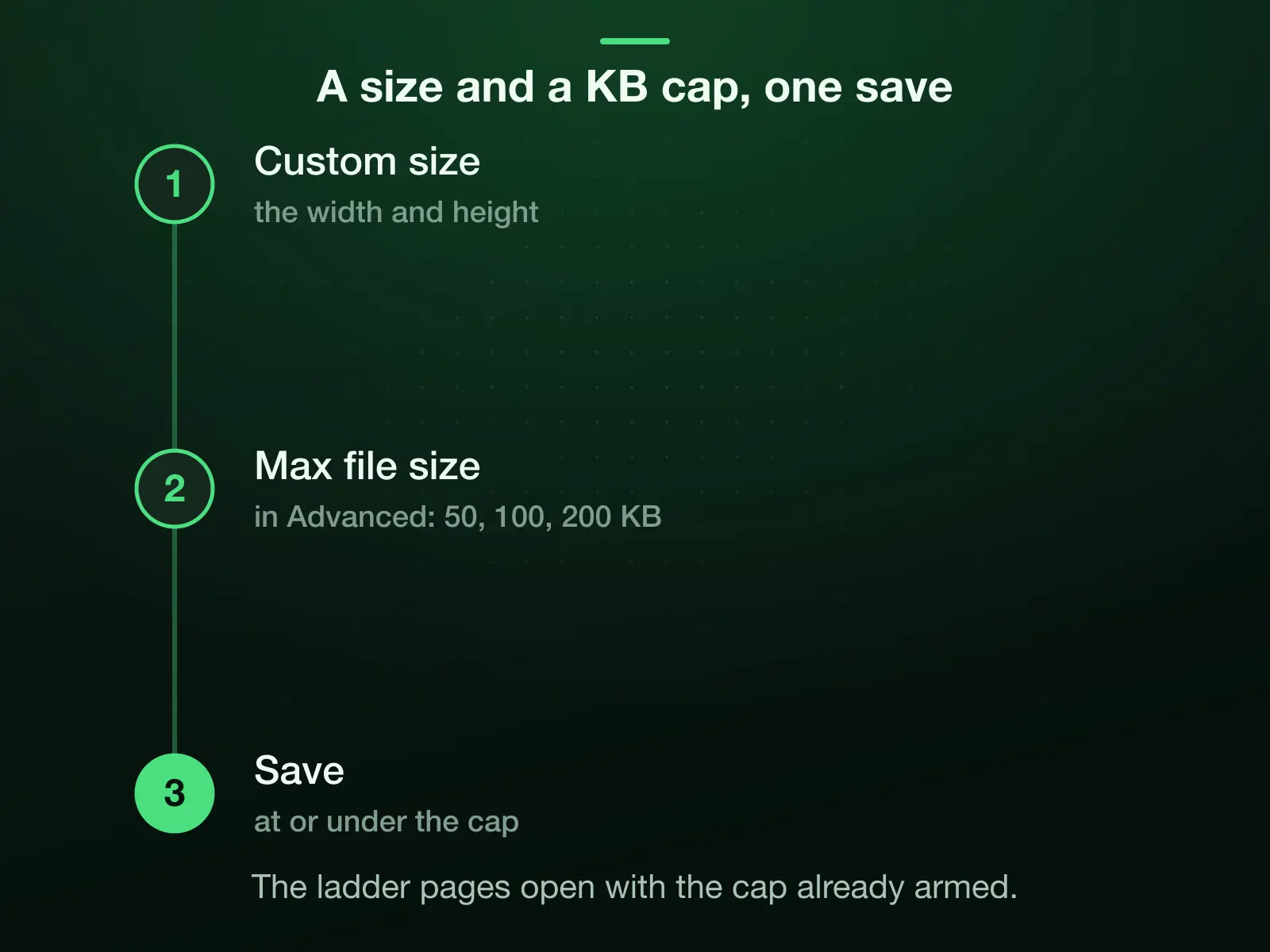Resize a JPG and hit a number of KB in one save: type the size into Custom size, set Max file size in Advanced to 50, 100 or 200 KB, and Save; the JPG comes back at or under the cap, never over.