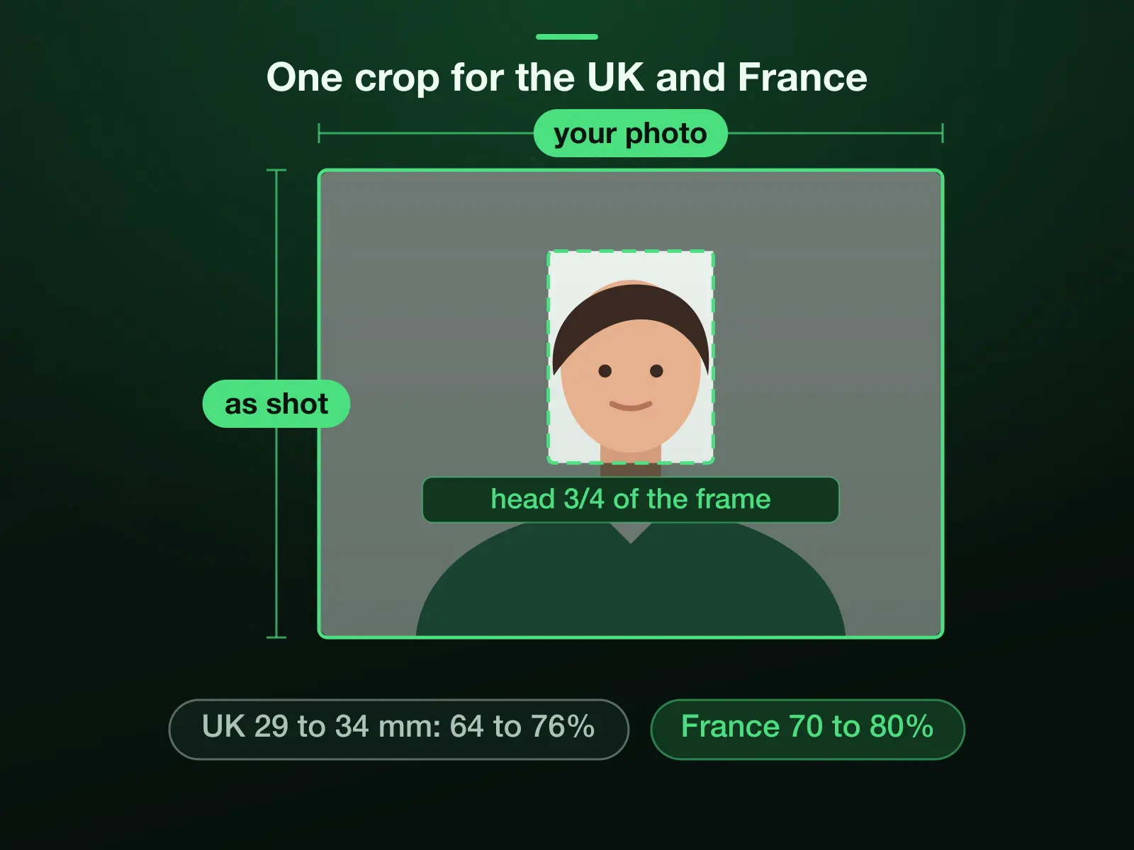 A photo with the 35 × 45 mm frame placed so the head takes three quarters of its height, which passes both bands: the UK's 29 to 34 mm, 64% to 76% of the frame, and France's face of 70 to 80%.