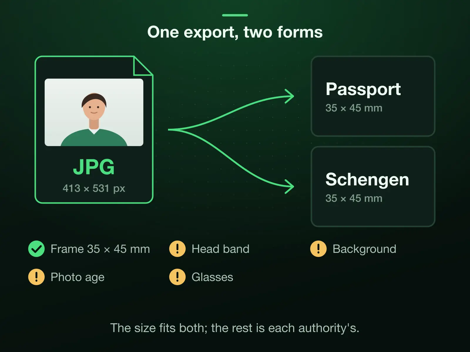 One 413 × 531 JPEG serving two forms, a passport and a Schengen visa, both 35 × 45 mm. The frame is the same; the head band, the background colour, the photo's age and the glasses rule are each authority's own.
