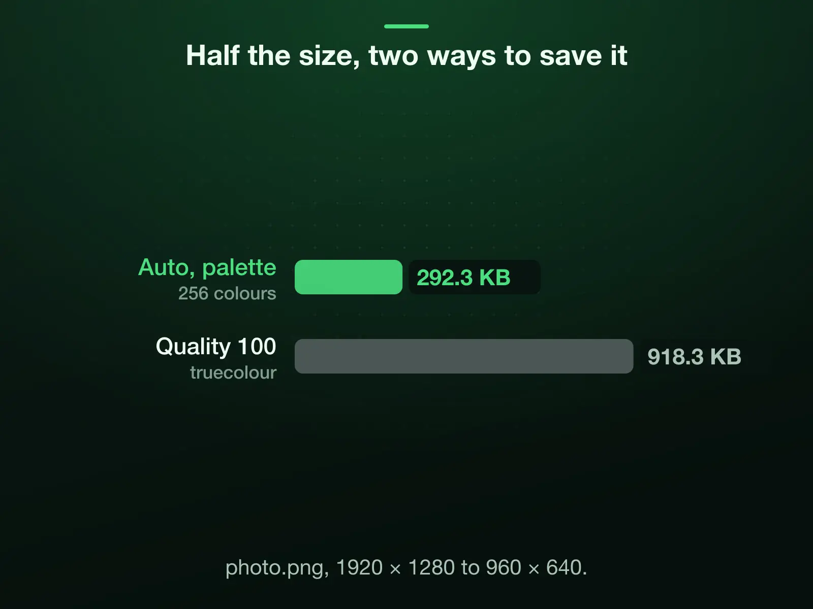 Our 1920 × 1280 photo PNG resized to 960 × 640: 292.3 KB saved at Auto, a palette of up to 256 colours, and 918.3 KB at Quality 100, truecolour with every resized pixel as drawn.