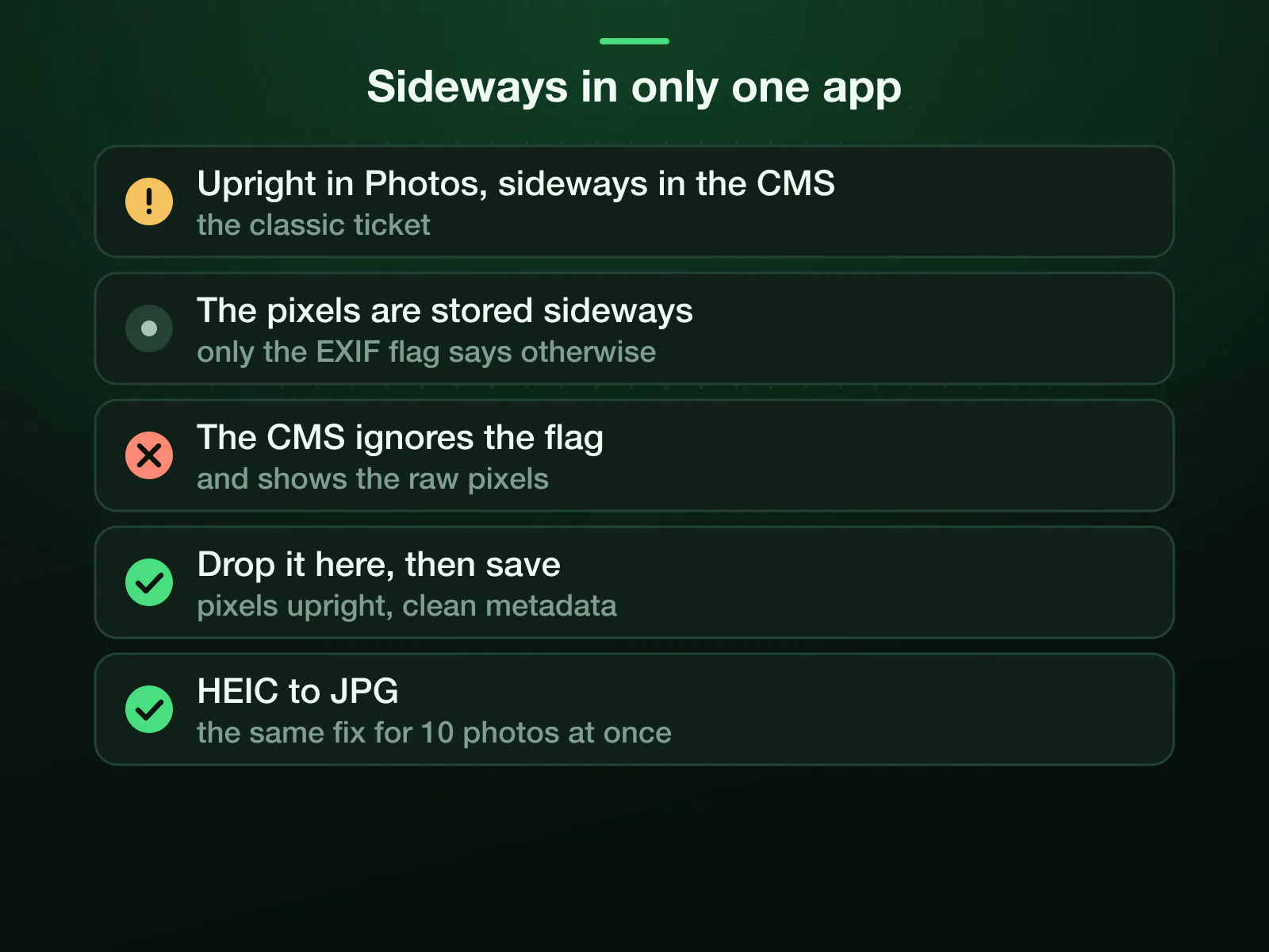 The photo that is sideways in only one app: upright in Photos, sideways in the CMS, because its pixels are stored sideways and only the EXIF flag says otherwise. Dropped here and saved, its pixels leave upright with clean metadata, so both agree.