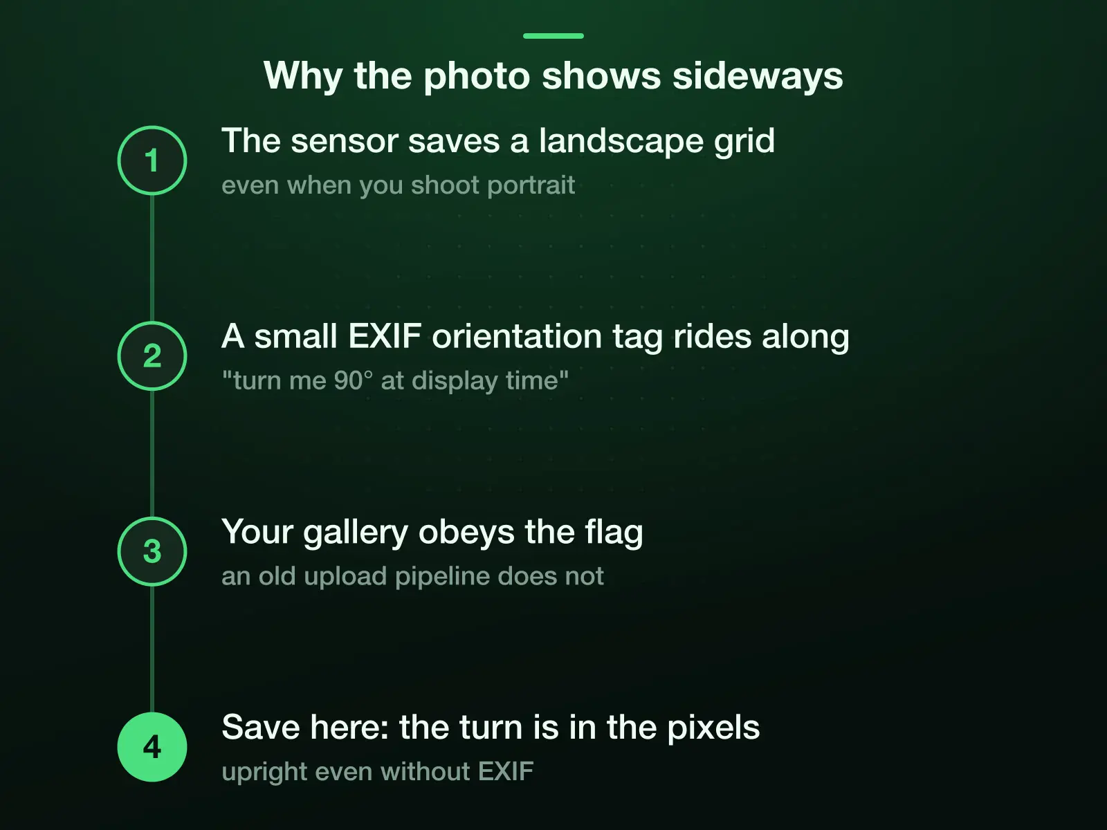 Why a photo shows sideways, in four steps: the sensor saves a landscape grid even for a portrait shot; a small EXIF orientation tag says turn me 90° at display time; a gallery obeys it and an old upload pipeline does not; saving here bakes the turn into the pixels.