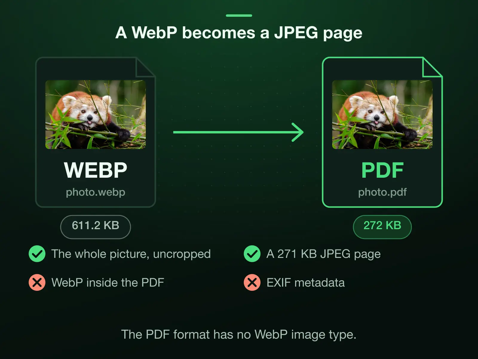Our reference photo saved as a 1920 × 1280 WebP of 611.2 KB, into a PDF: the page inside becomes a 271 KB JPEG at Auto, because a PDF has no WebP image type, and the PDF weighs 272 KB.