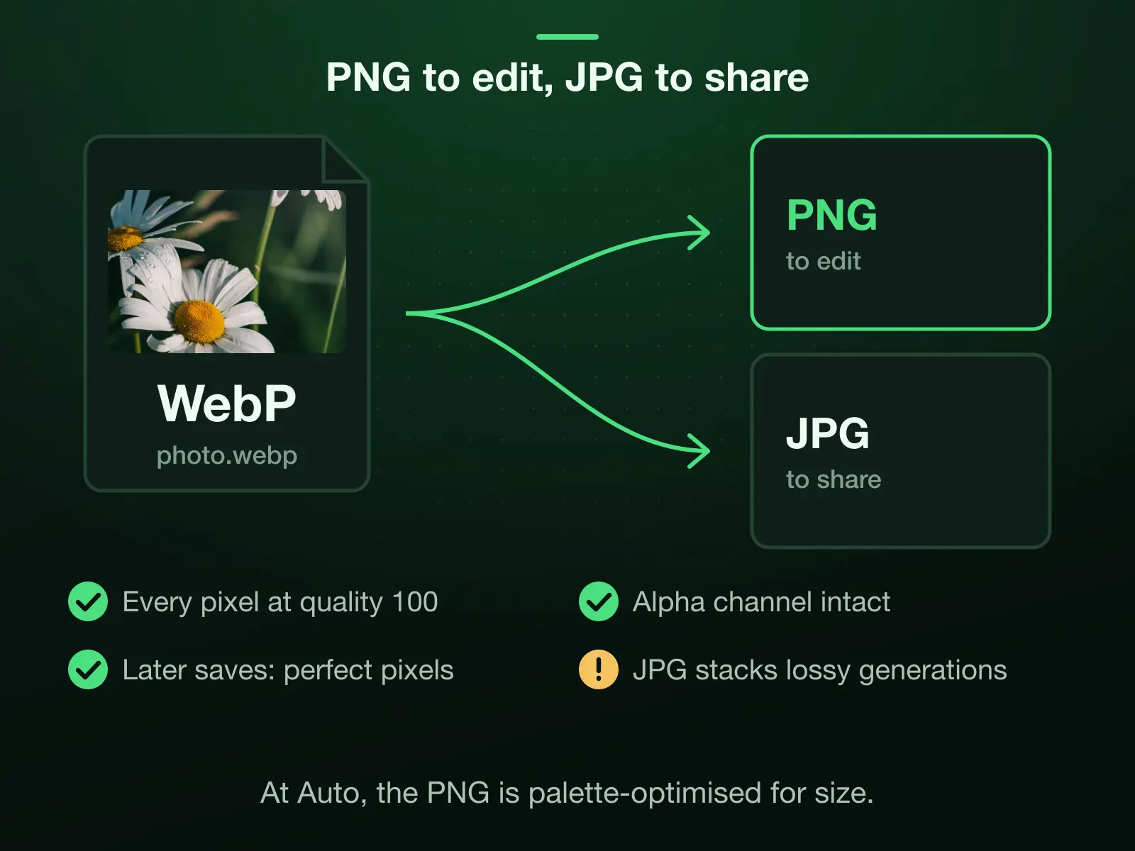A WebP photo with two exits: PNG to edit, where quality 100 keeps every decoded pixel with the alpha channel intact, so each later save starts from perfect pixels; JPG to share, smaller, but lossy, so each save stacks another generation.