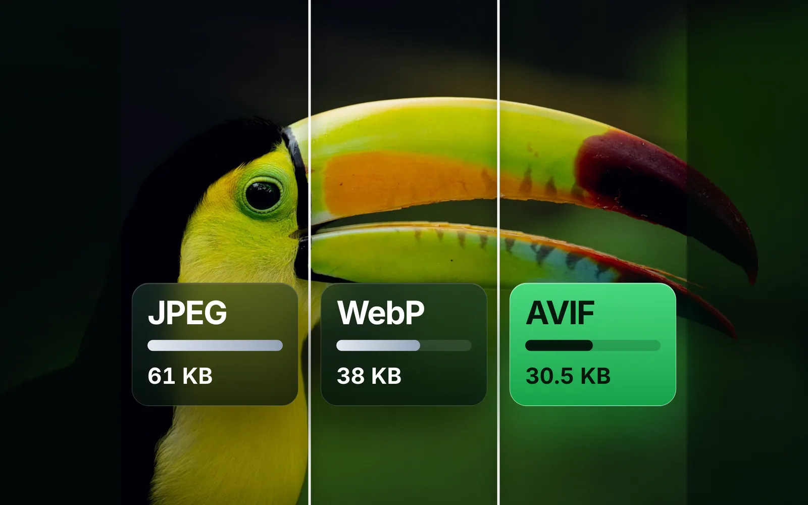 AVIF vs WebP vs JPG: which is better for a website, measured