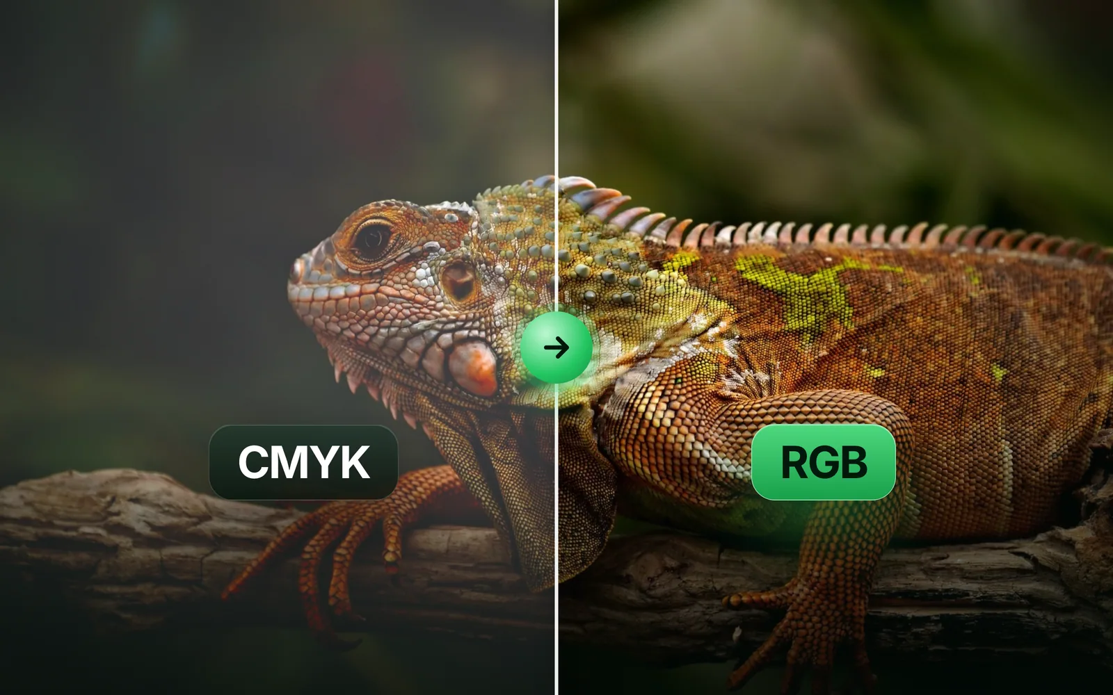 CMYK to RGB: how to convert a print file for screens