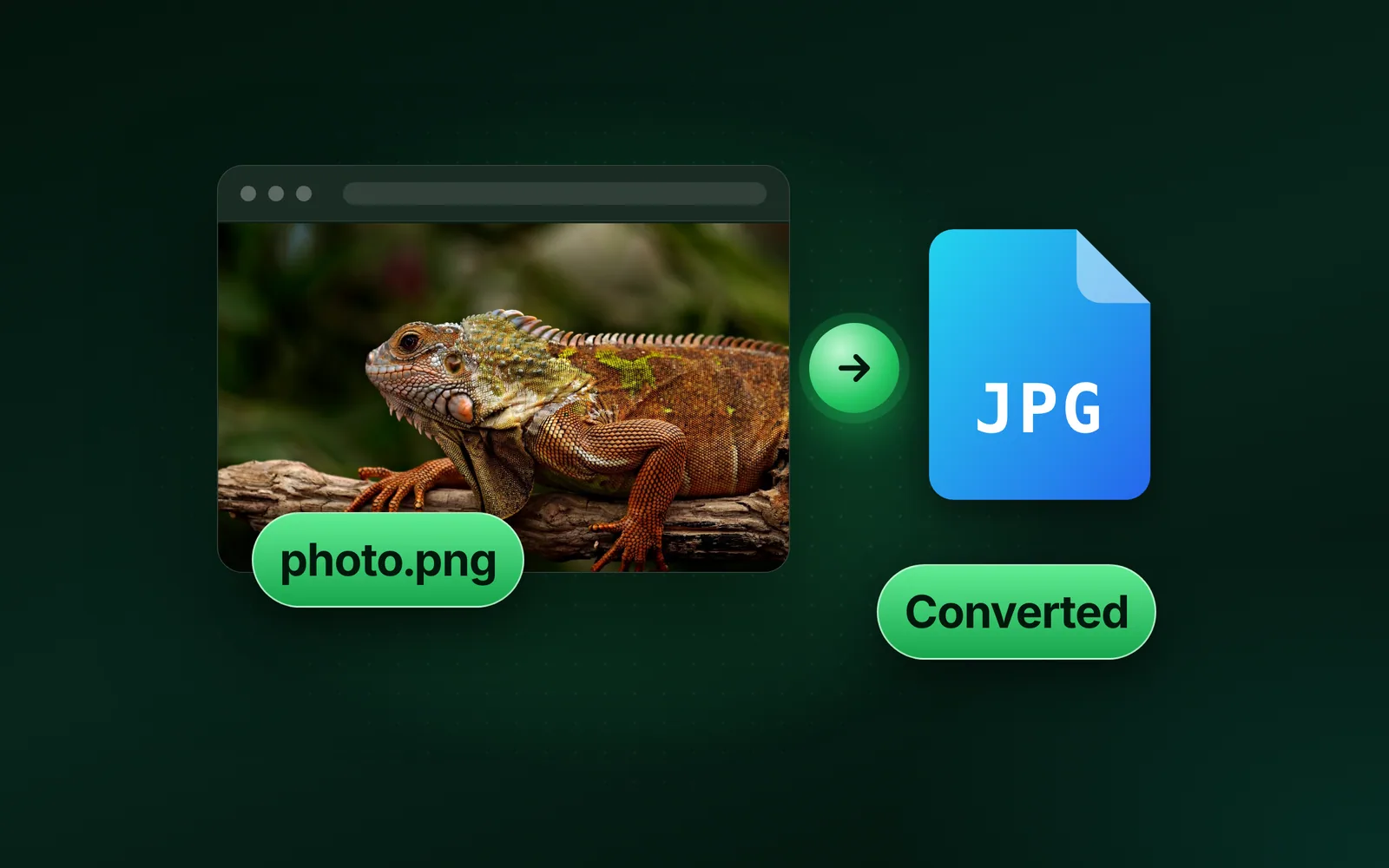How to change a file type: convert, don’t rename