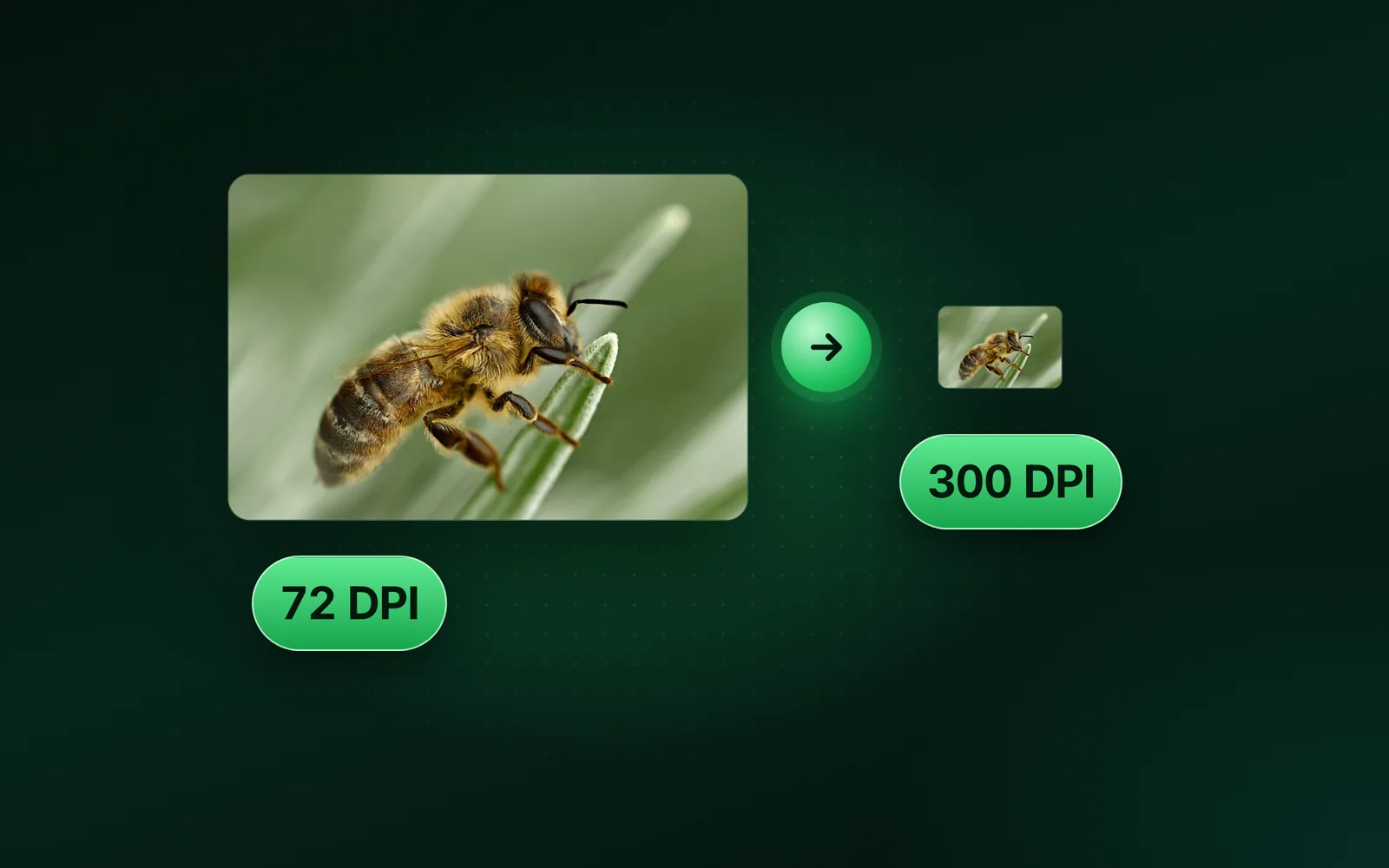 How to change the DPI of an image for print