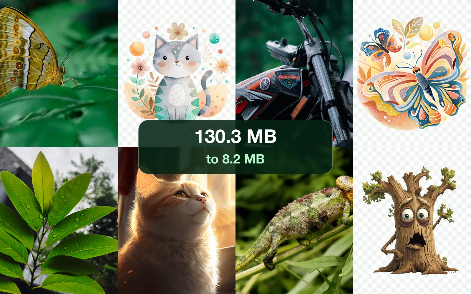 How to compress photos for email: 20 images, measured