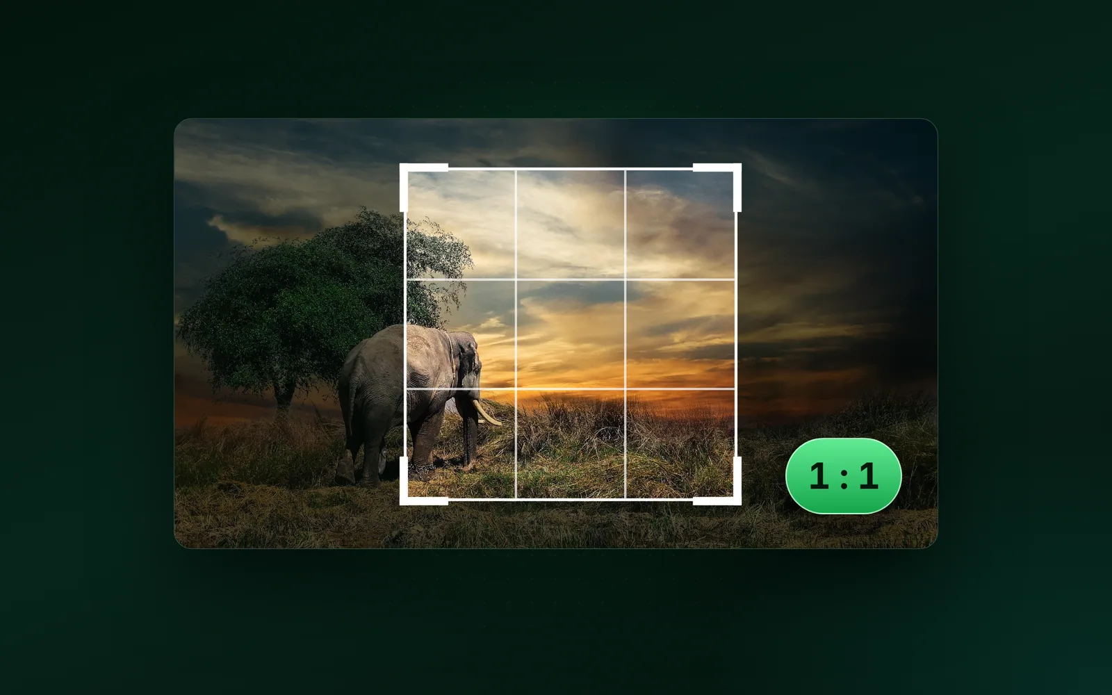 How to crop an image in Photoshop 2026, step by step