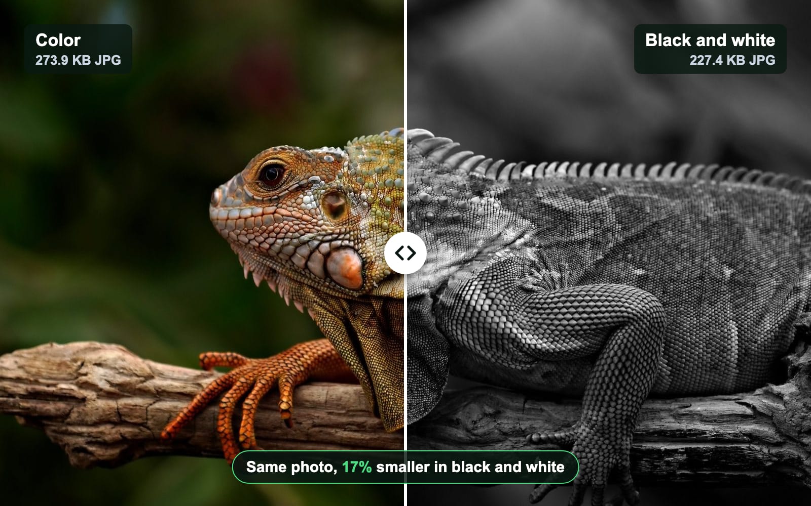 How to make a picture black and white on any device