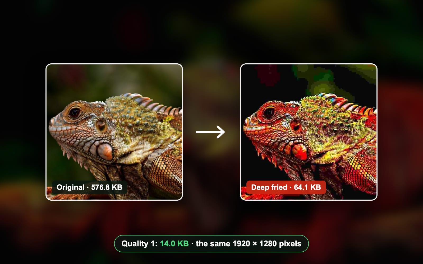 How to make an image low quality, or deep fry it: tested