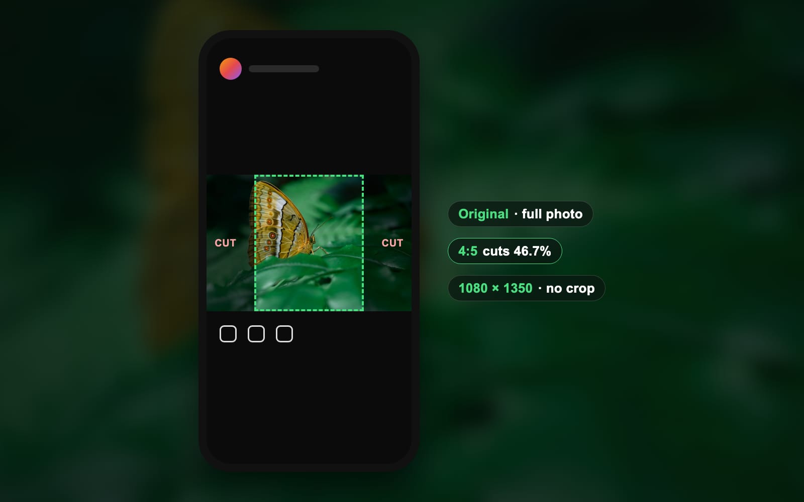 How to post a photo on Instagram in full size, without a crop