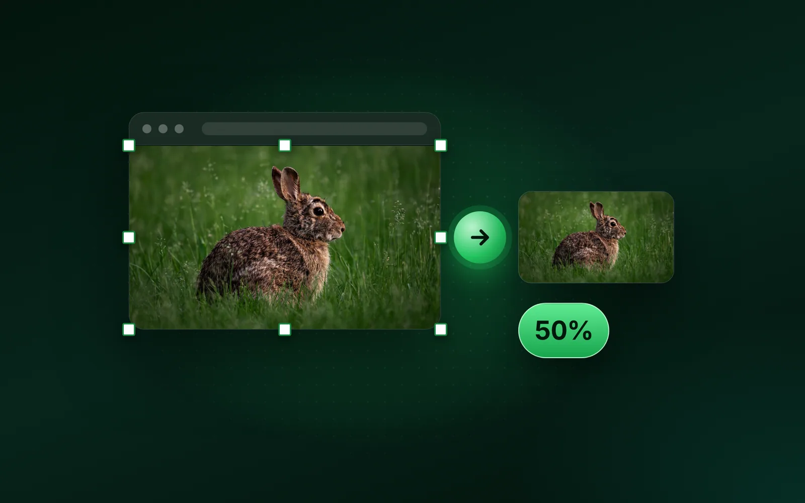 How to resize an image in Paint on Windows 11 and 10