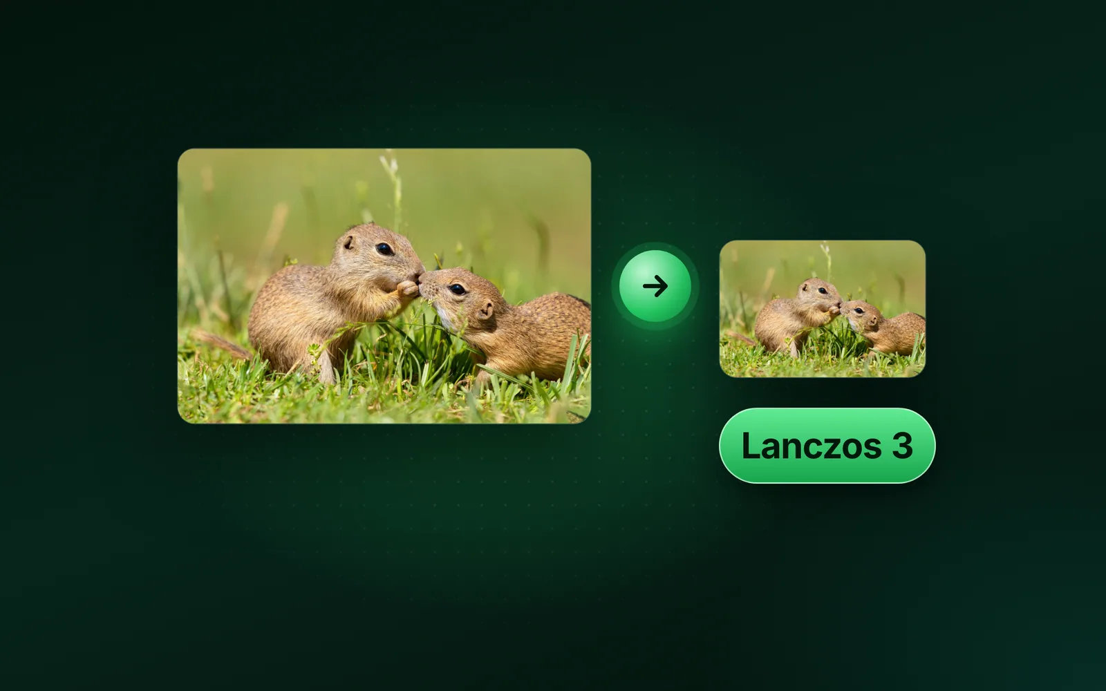 How to resize an image without losing quality
