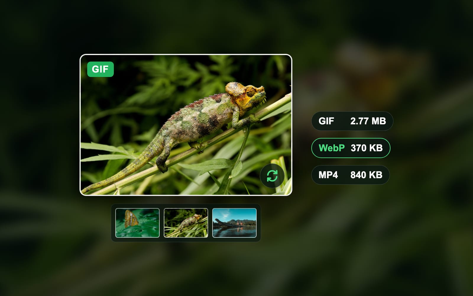 How to save a GIF on any device and keep it moving