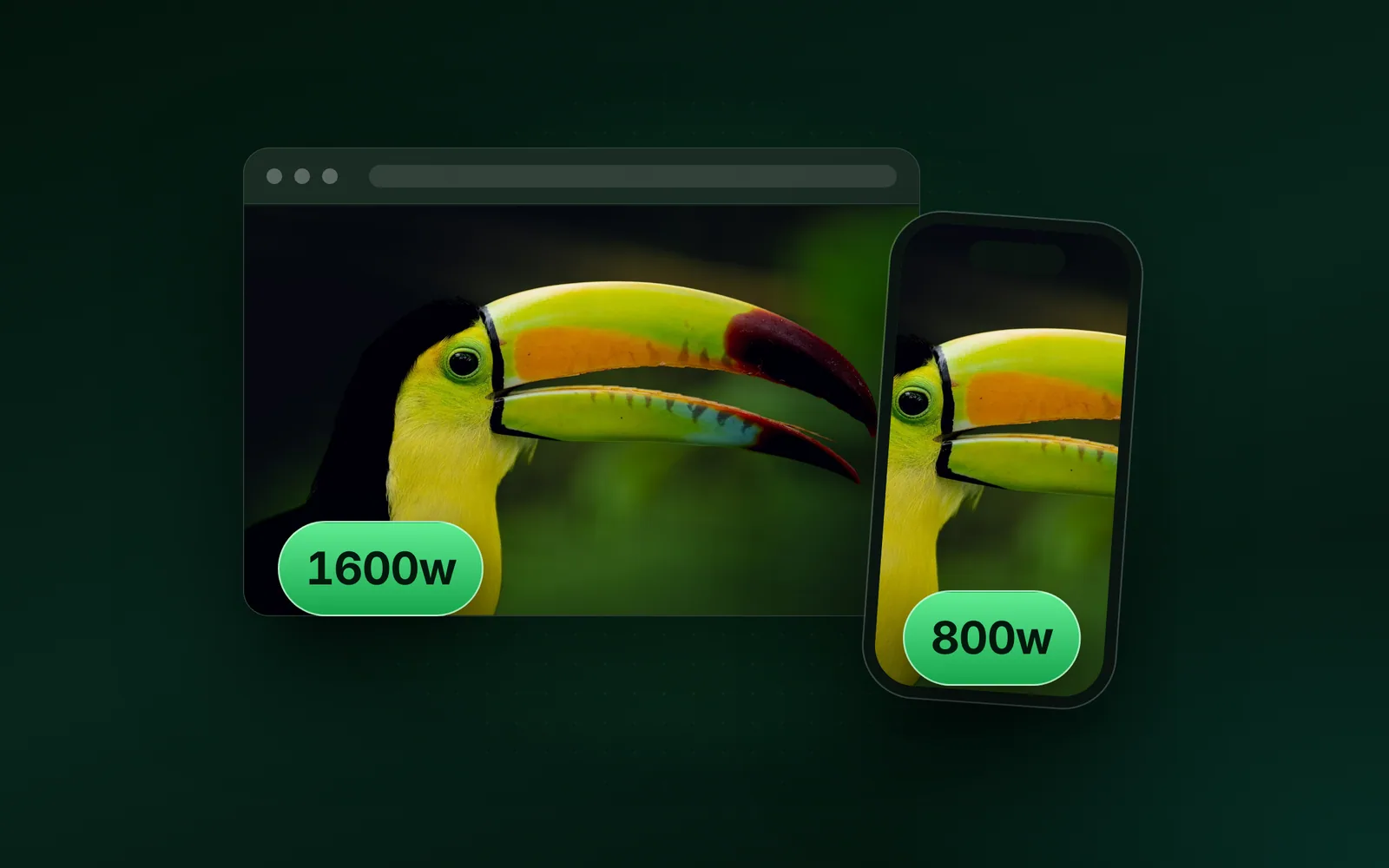 Image optimization for the web: formats, sizes and lazy loading