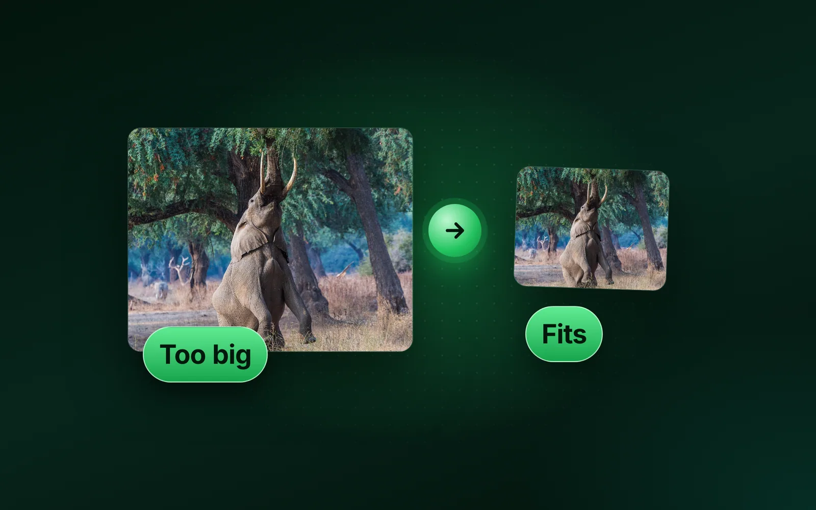 Image still too big after compressing? Set a size cap