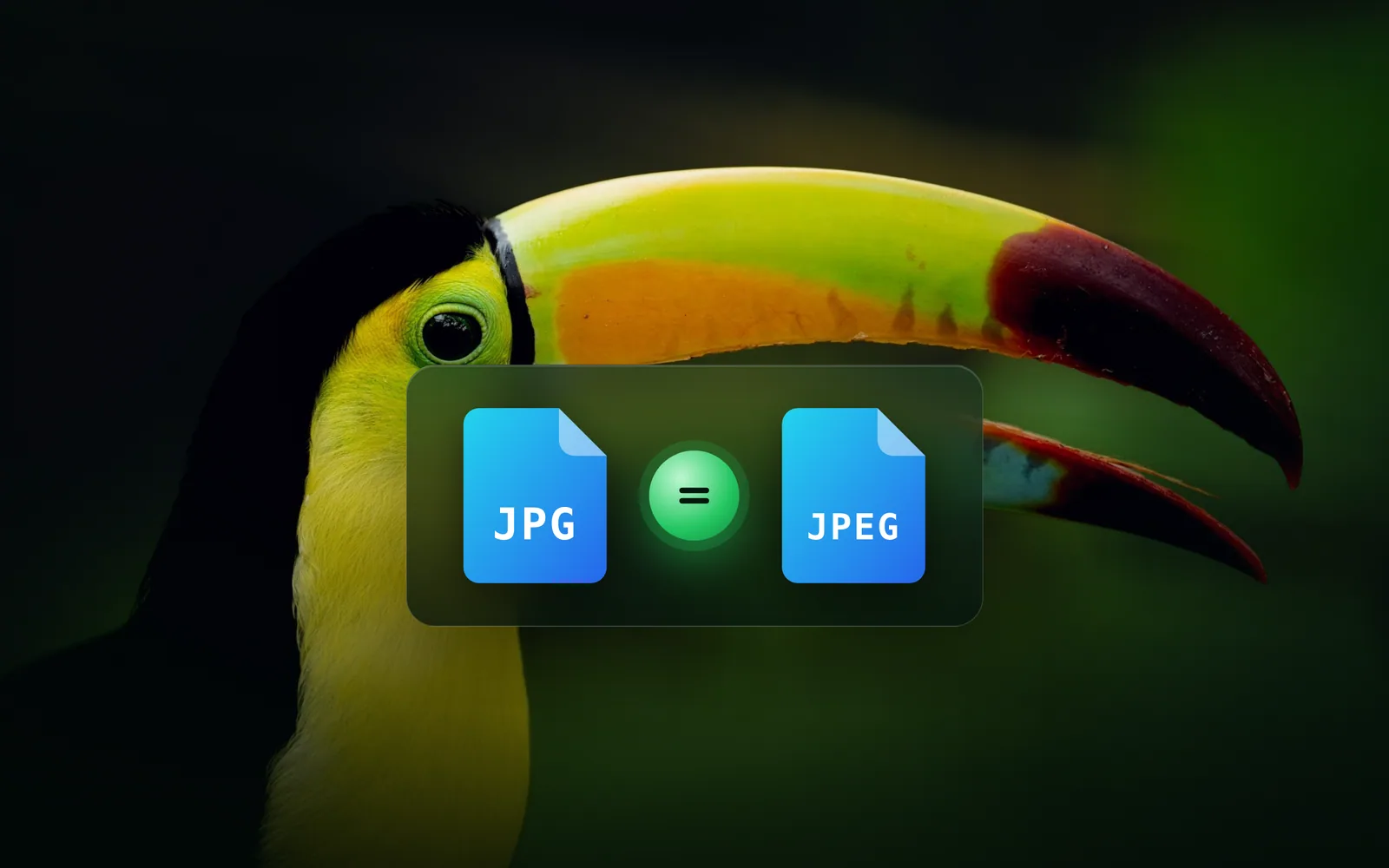 Is JPG and JPEG the same? Yes, and here is why both exist