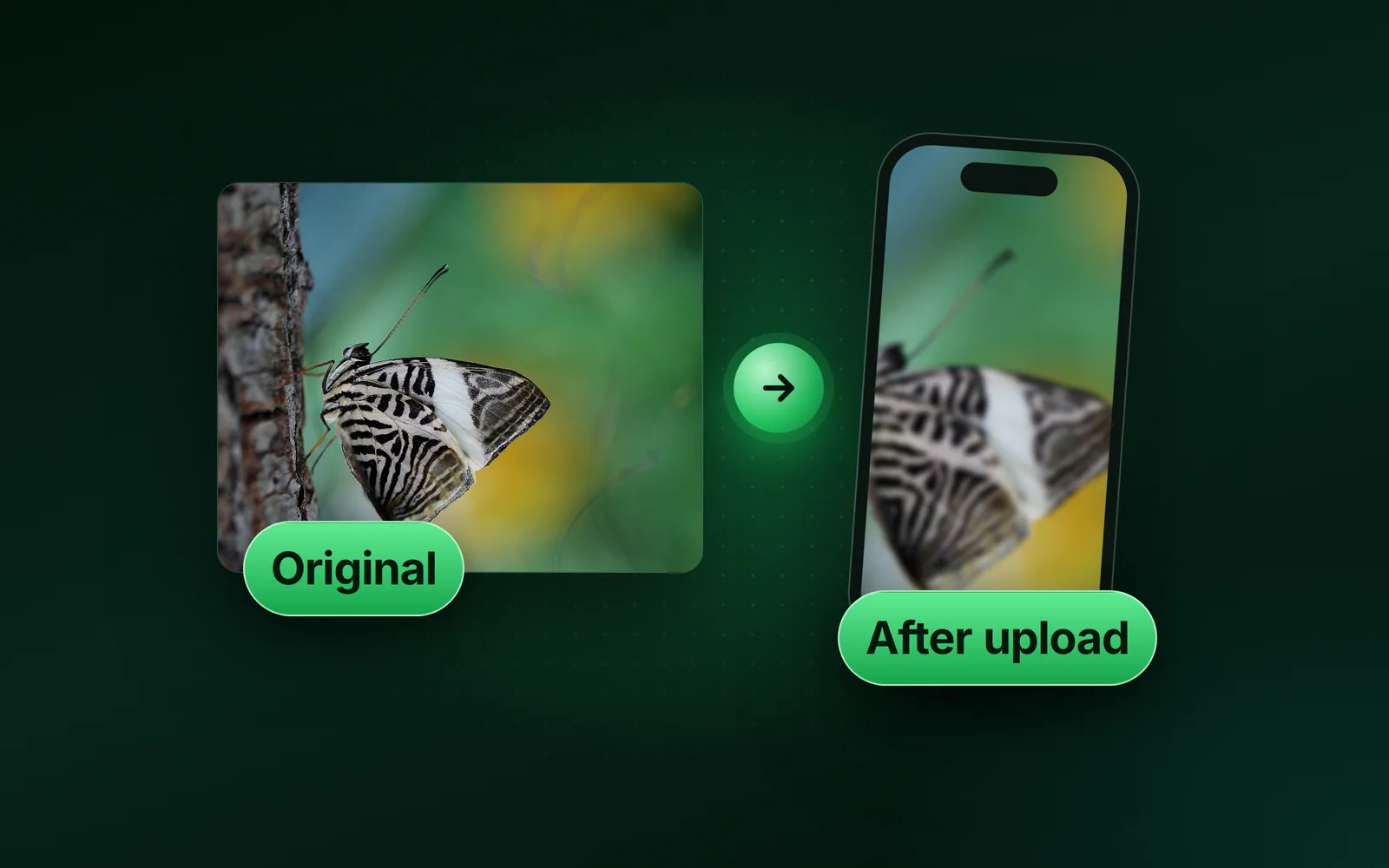 Why are my photos blurry when I upload them?