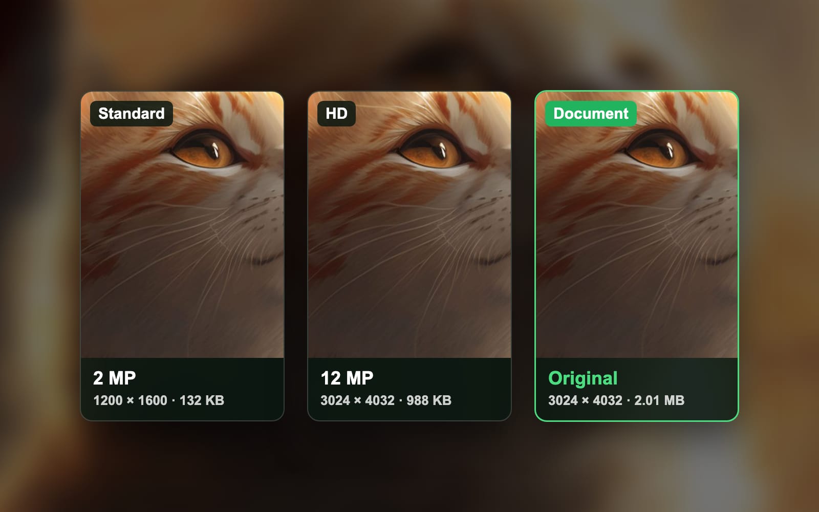 How to send high-quality photos on WhatsApp, measured