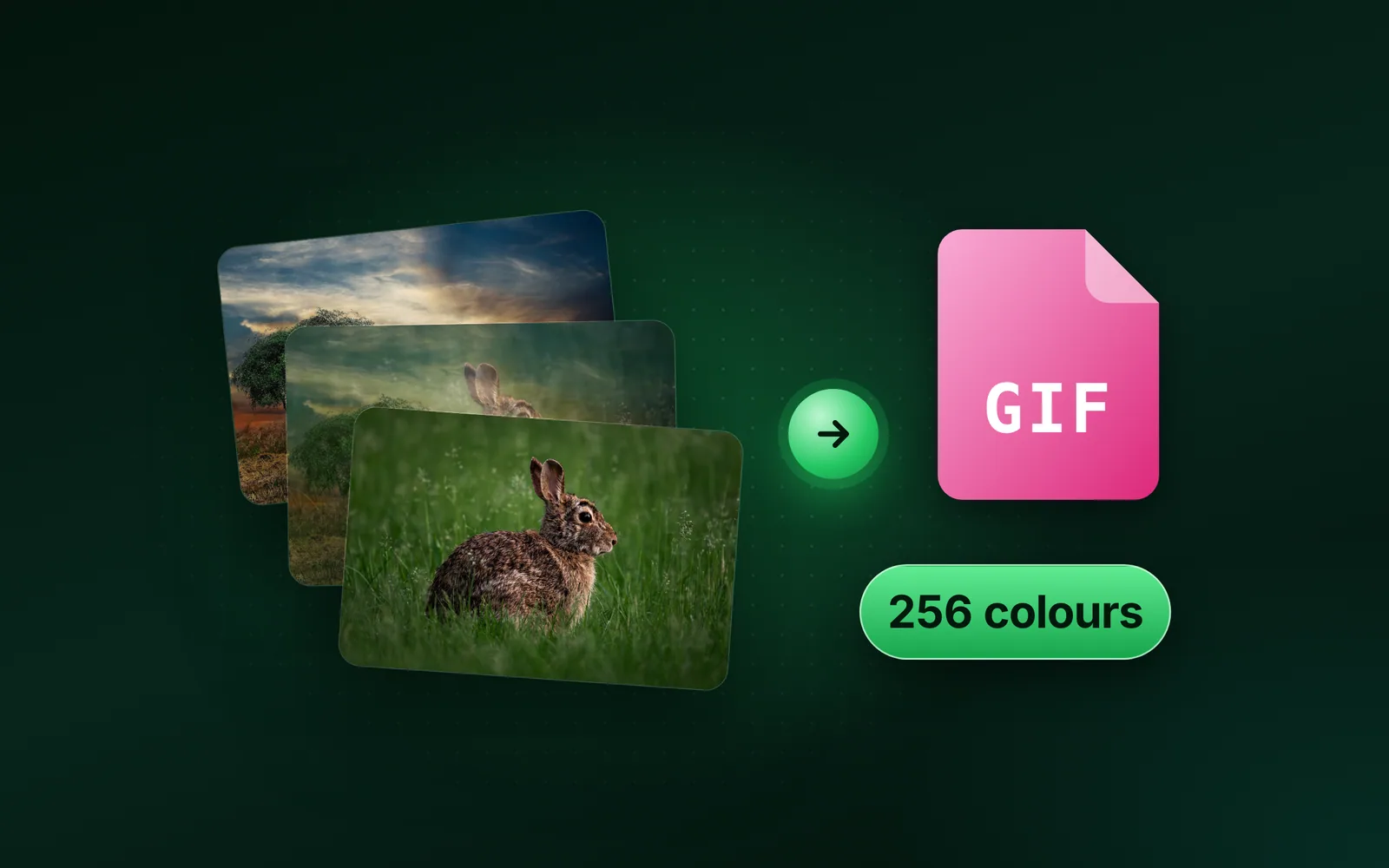 What does GIF stand for? Meaning, origin and file size