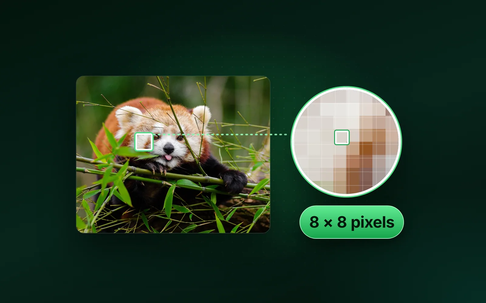 What is a pixel? A real photo, measured pixel by pixel