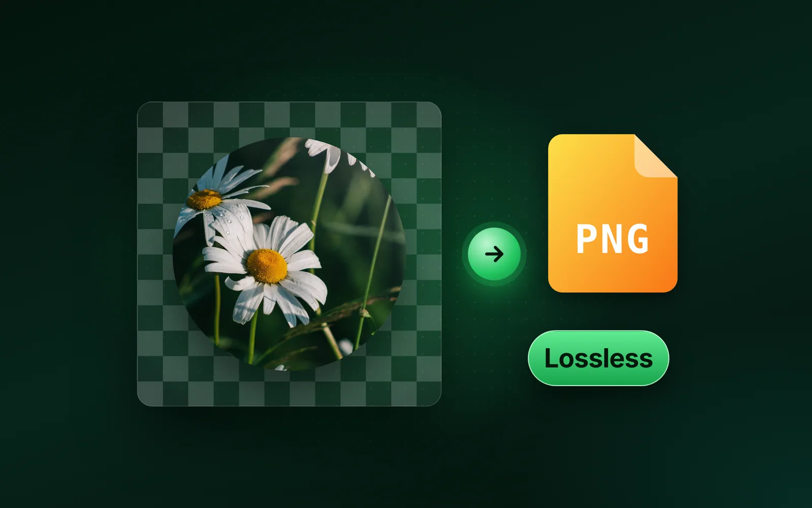 What is a PNG file, and when it beats JPG
