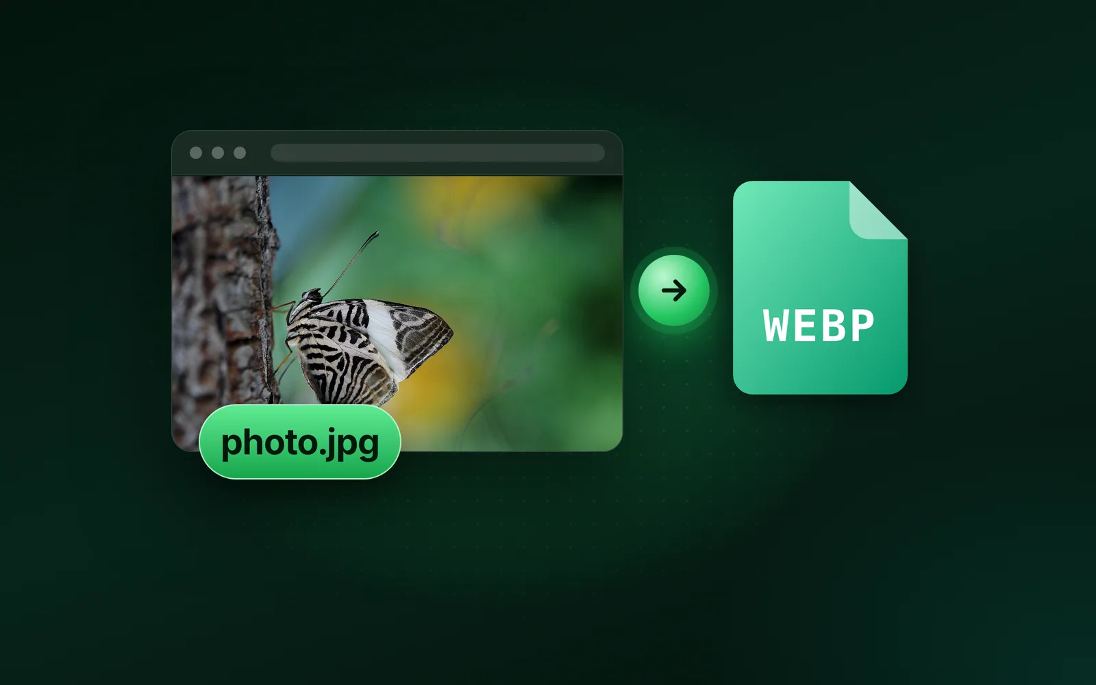 What is a WebP file? Why your images save as WebP