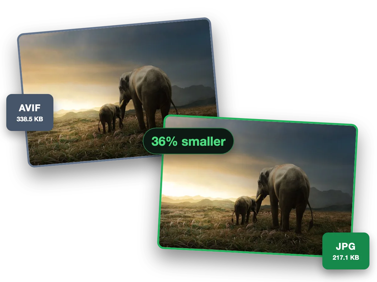 One photo as a 338.5 KB AVIF and as a 217.1 KB JPG