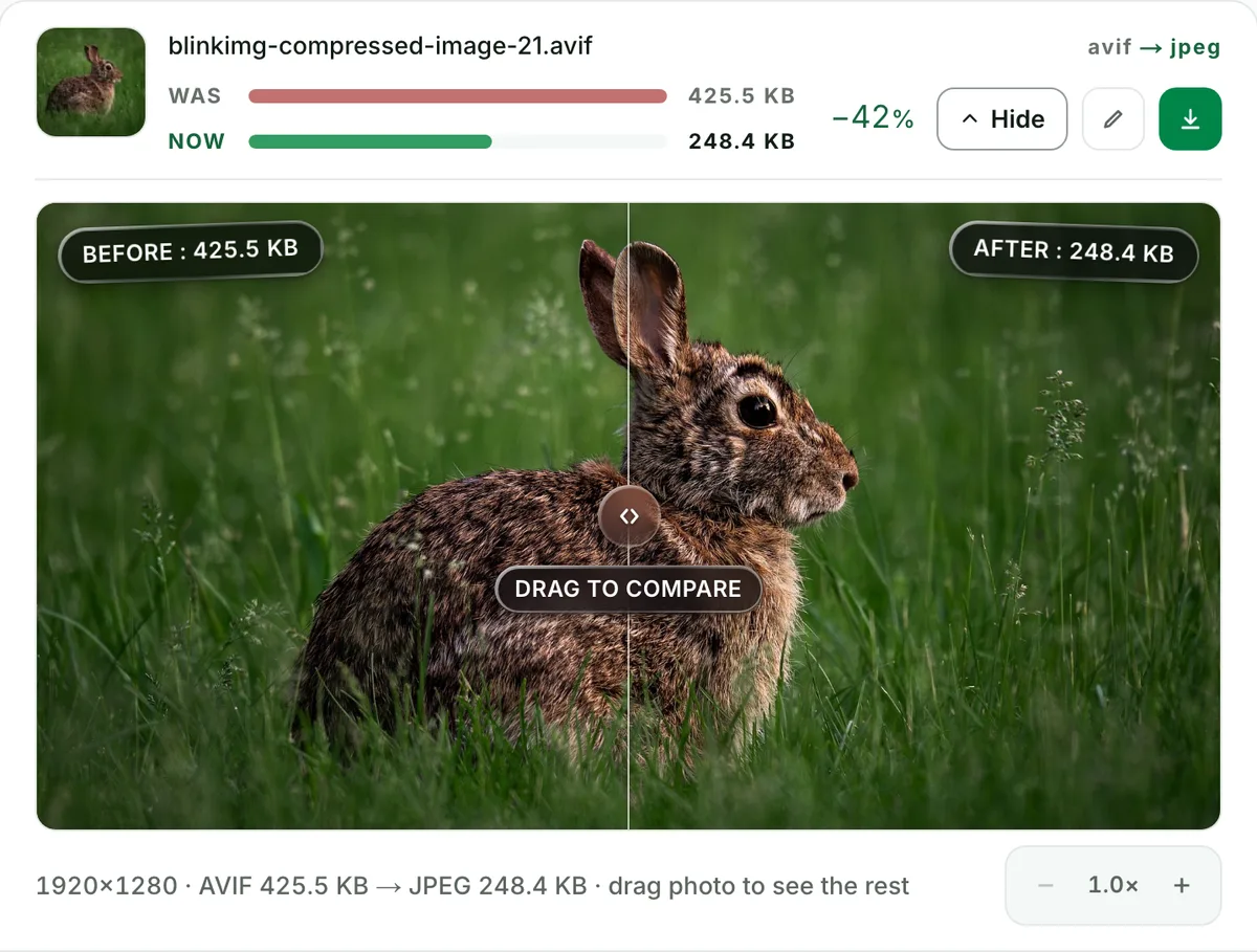 AVIF to JPEG with no change you can see: the real tool on this page