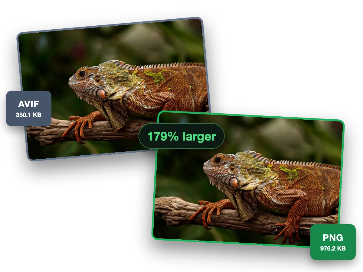 One photo as a 350.1 KB AVIF and as a 976.2 KB PNG