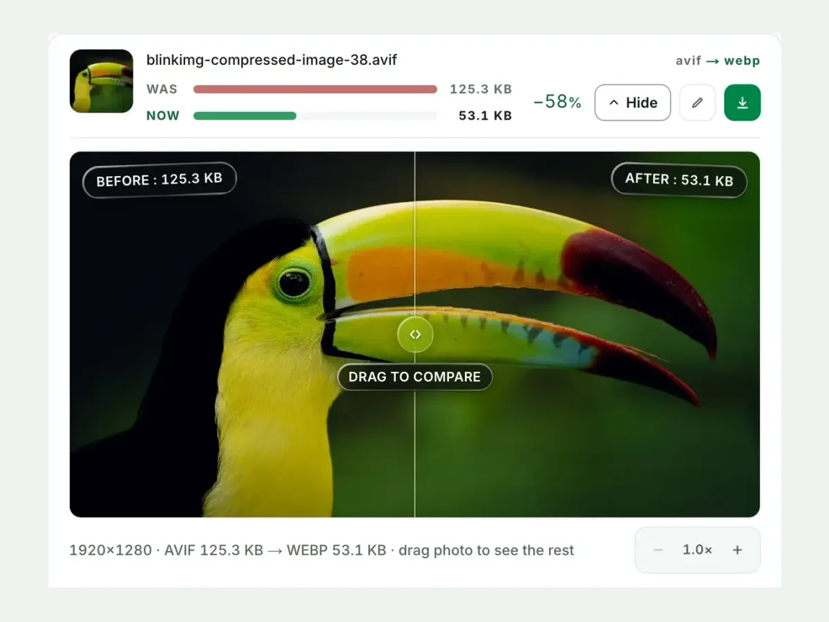 A AVIF beside its WebP in the compare slider, with both sizes