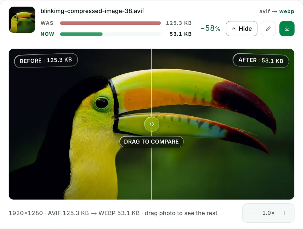 AVIF to WebP converter with no change you can see: the real tool on this page