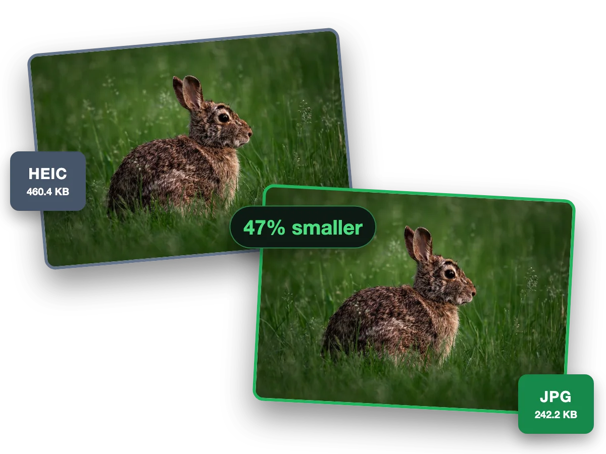 One photo as a 460.4 KB HEIC and as a 242.2 KB JPG