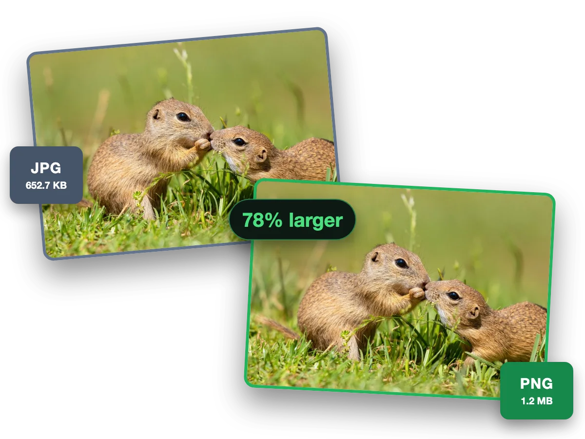 One photo as a 652.7 KB JPG and as a 1.2 MB PNG