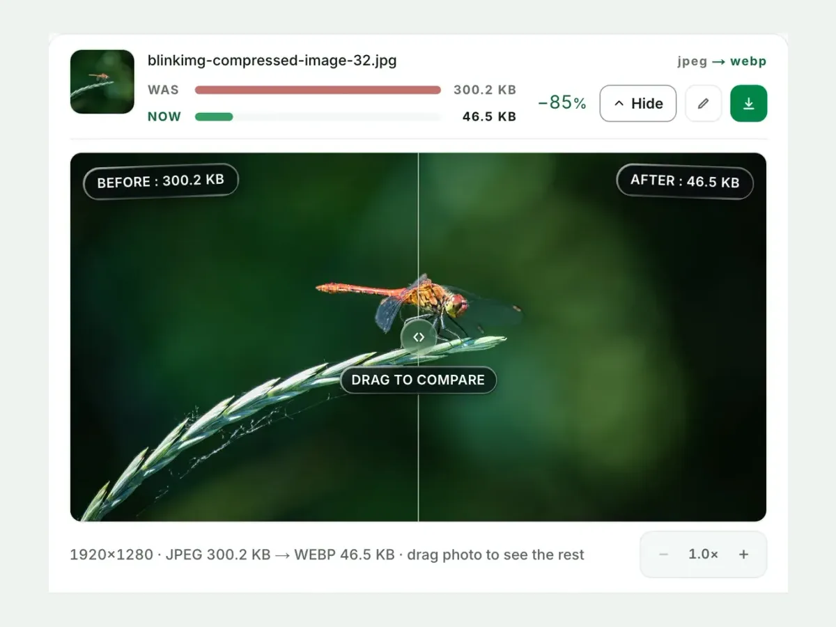 A JPG beside its WebP in the compare slider, with both sizes