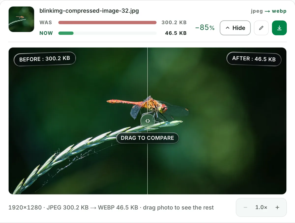 JPEG to WebP with no change you can see: the real tool on this page