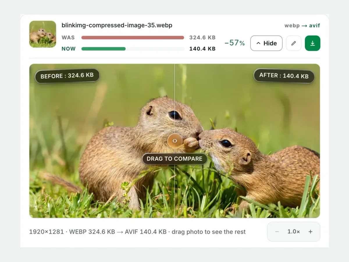 A WebP beside its AVIF in the compare slider, with both sizes