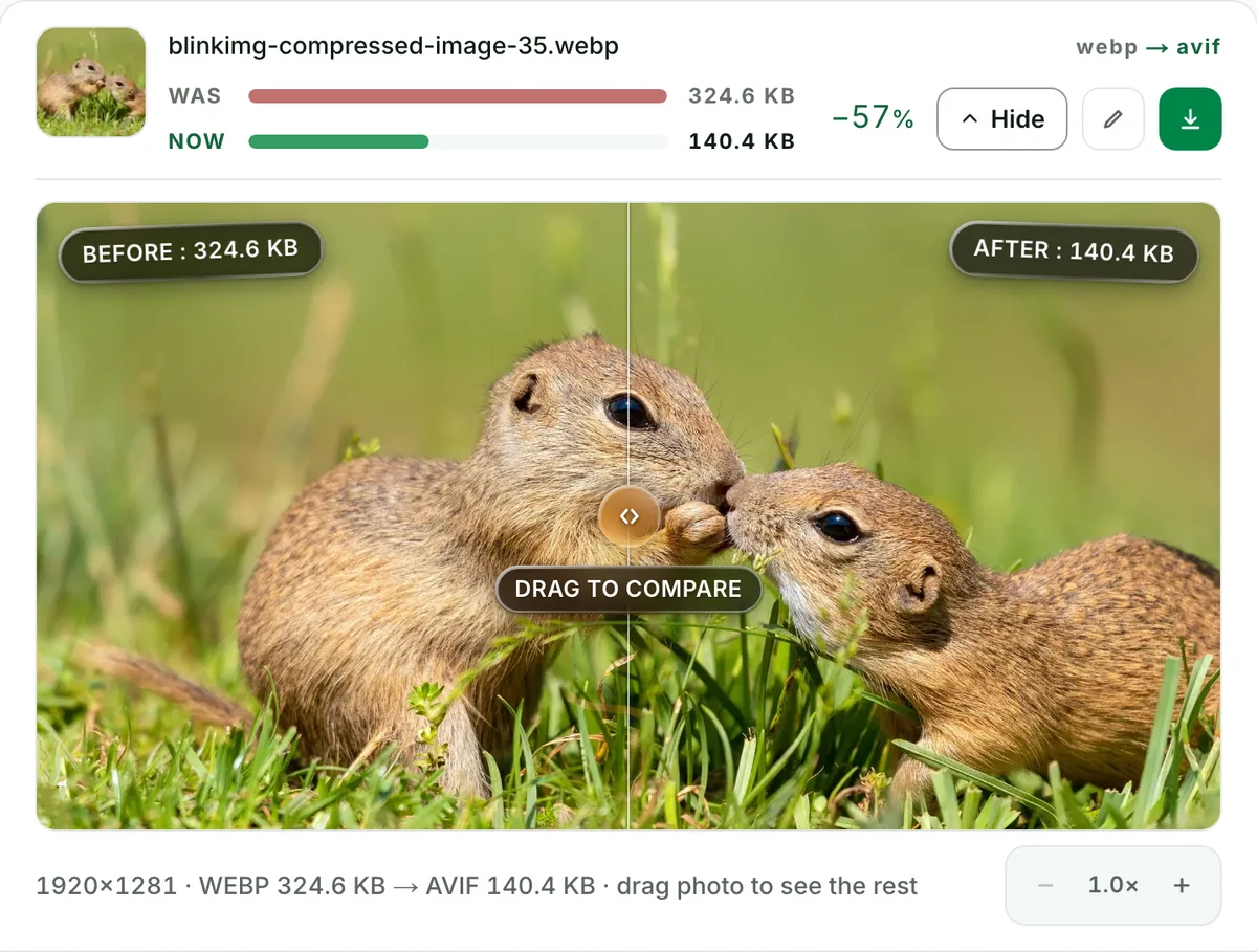 WebP to AVIF converter with no change you can see: the real tool on this page